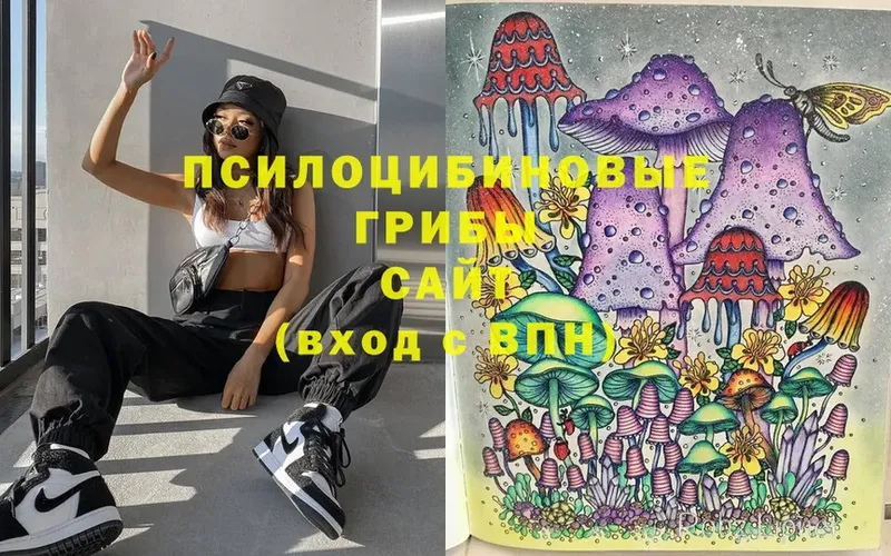 Галлюциногенные грибы Psilocybe  Скопин 